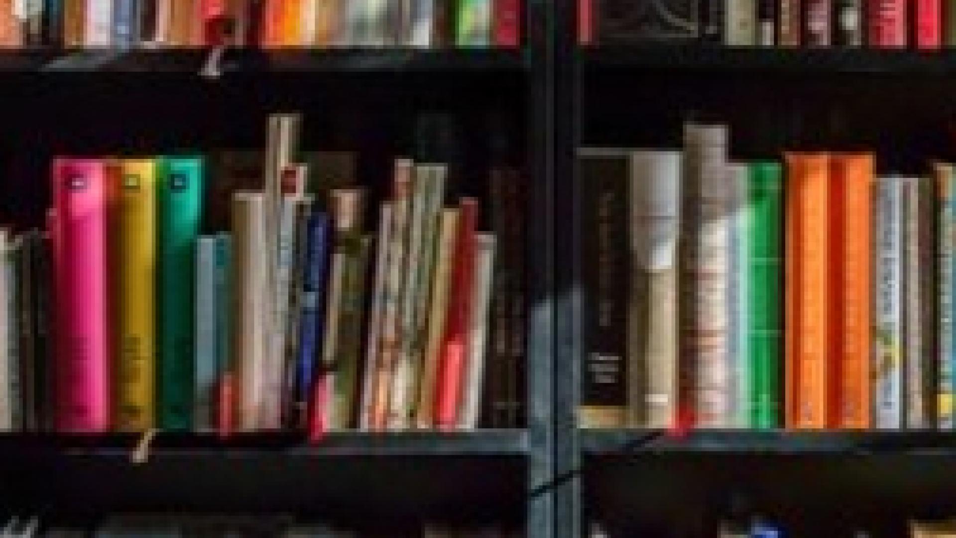 Colorful books arranged on a bookshelf.