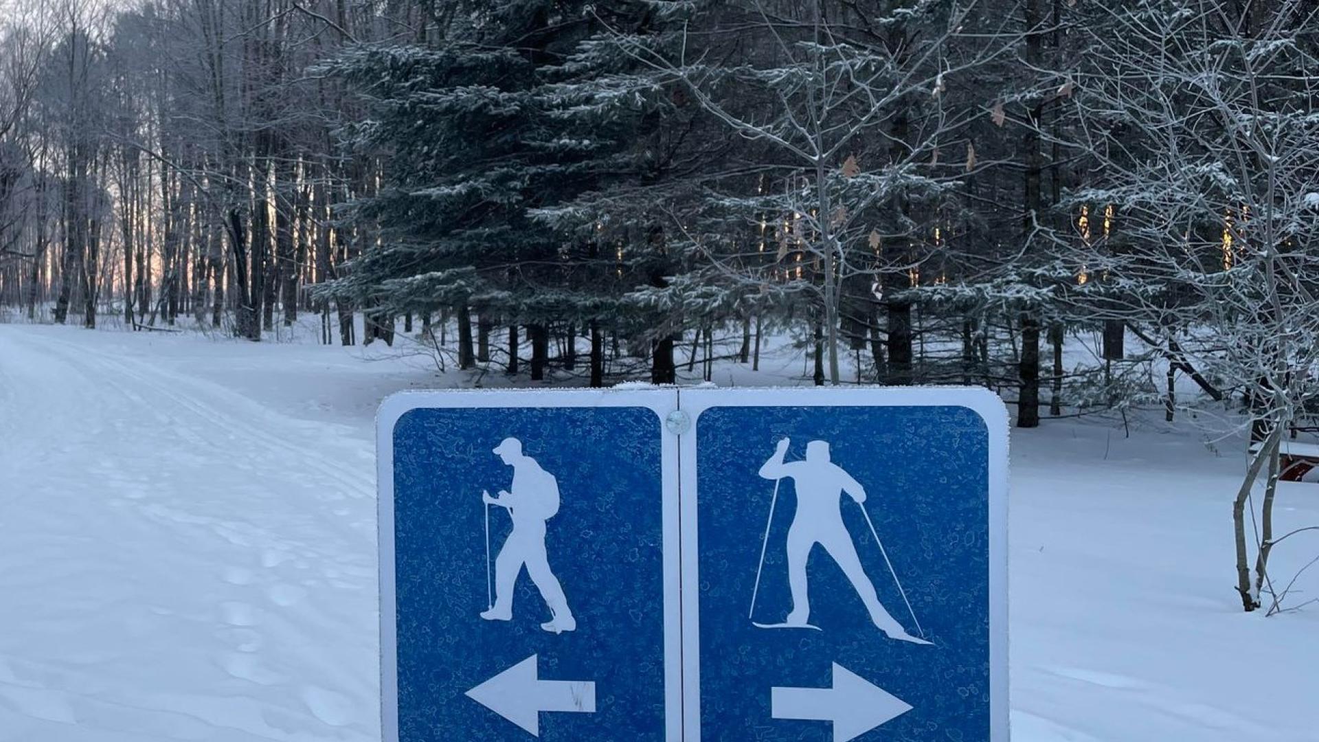 Cross-country skiing signs on a snow-covered forest trail.