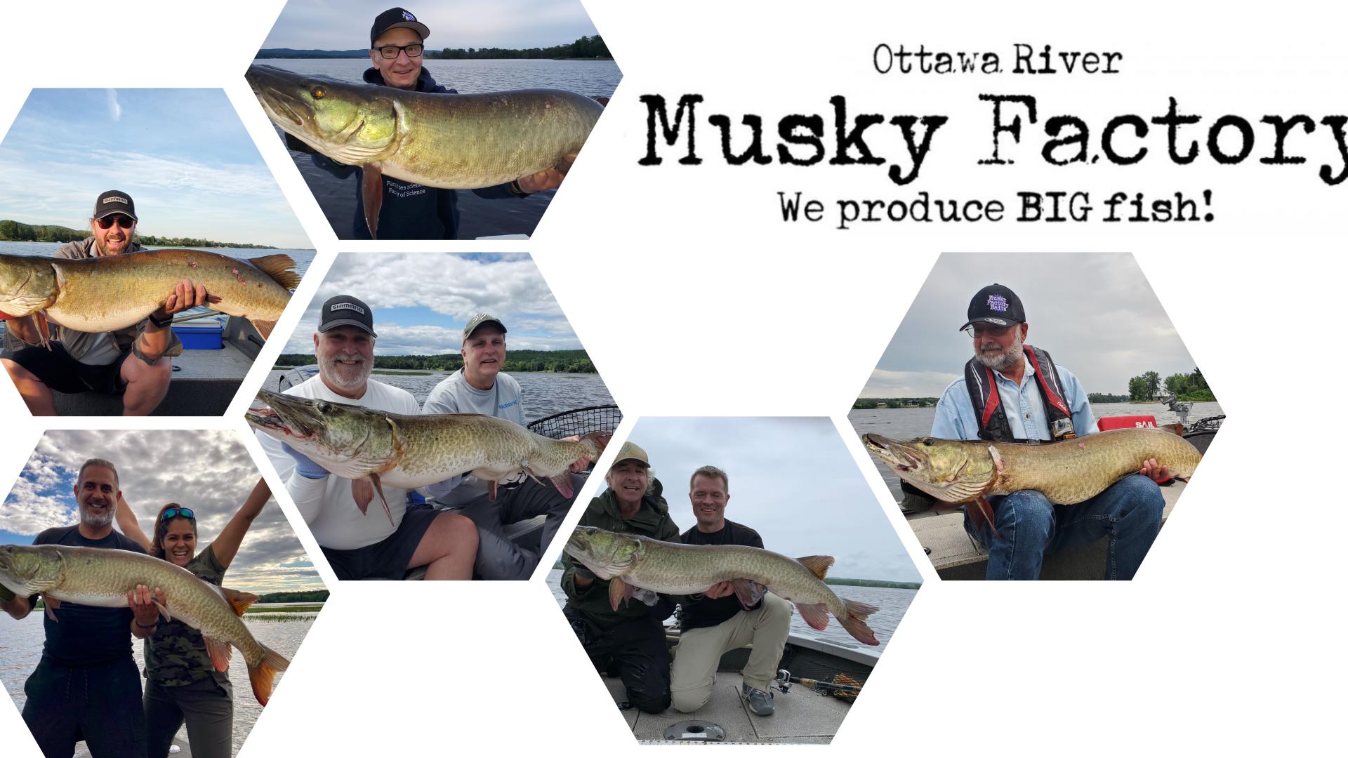 Hexagonal collage of people proudly holding large fish.