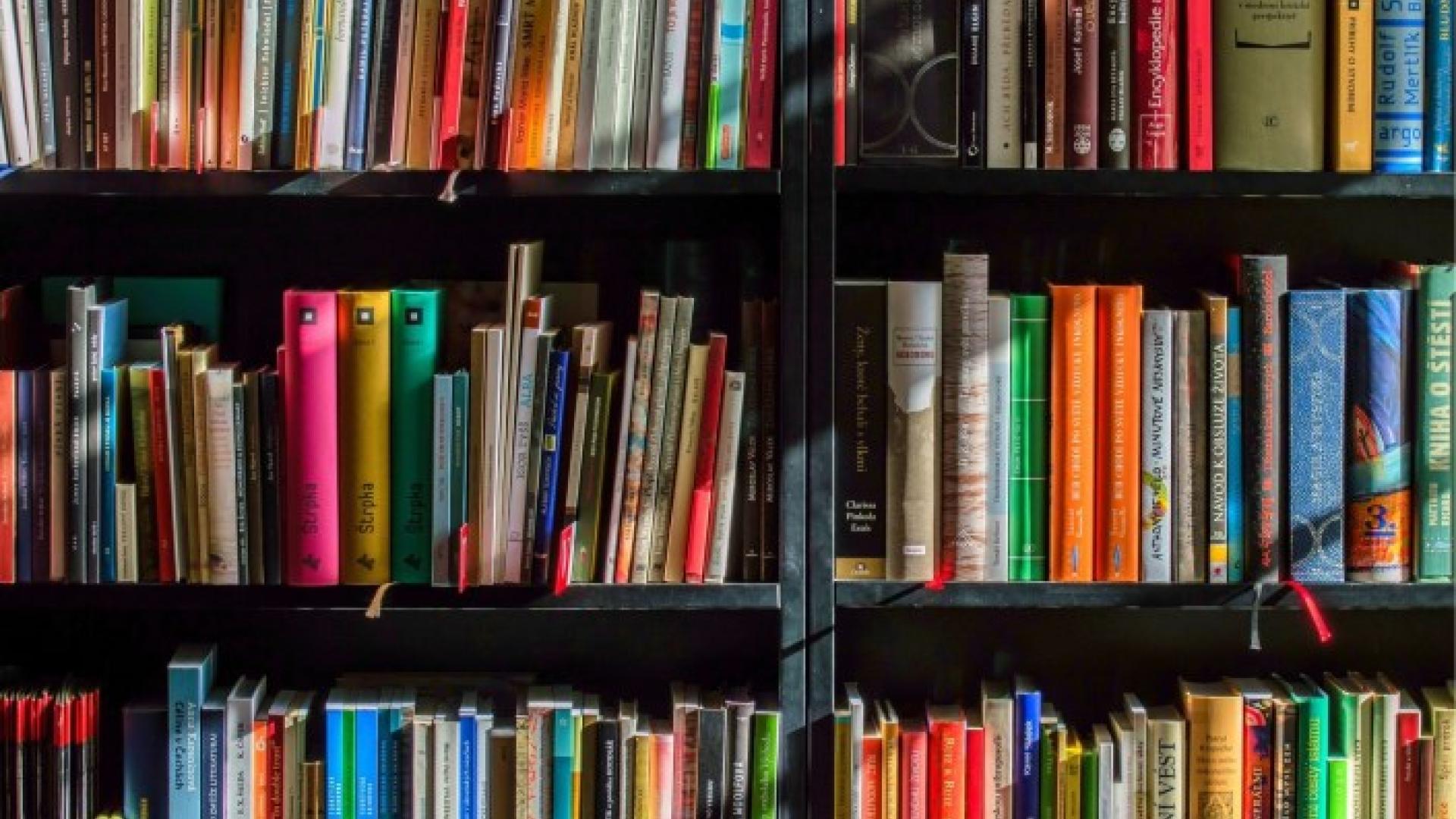 Bookshelves filled with colorful books in various sizes.