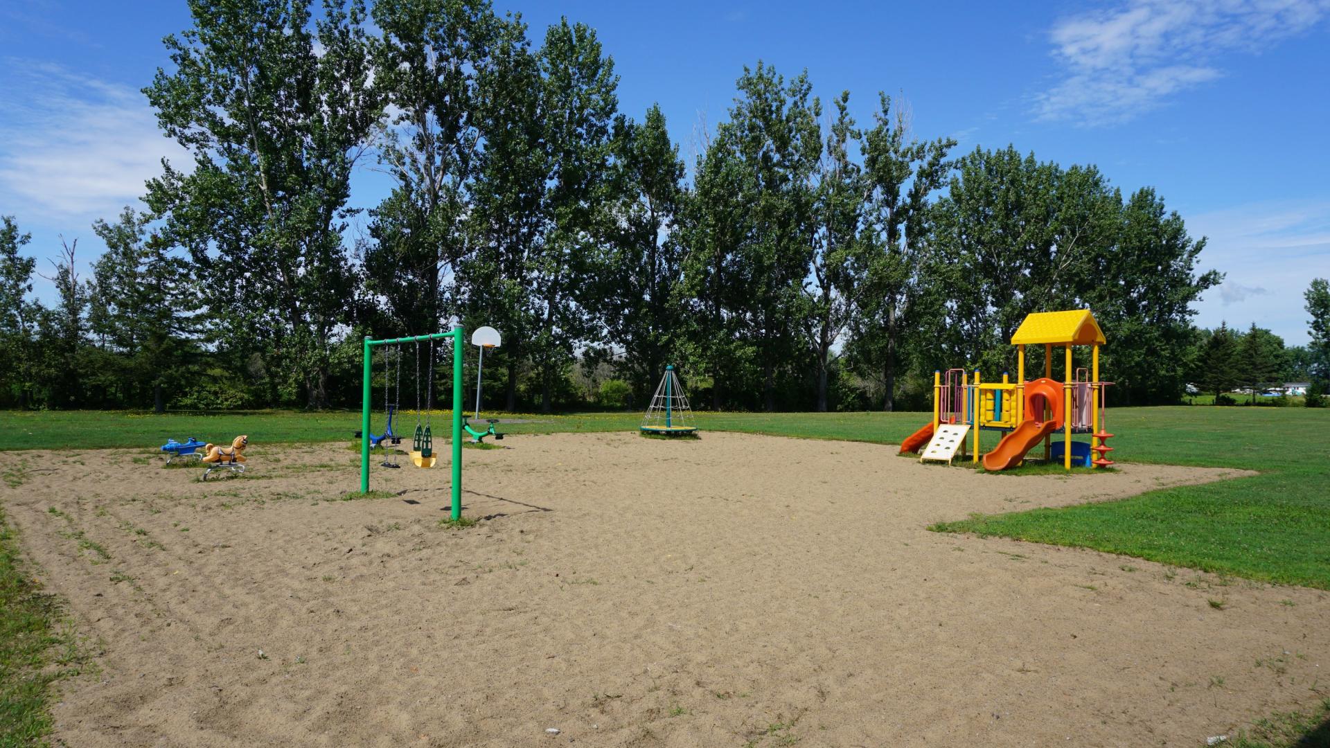 Playground with swings, slide, sandy ground, and tall trees under a blue sky.