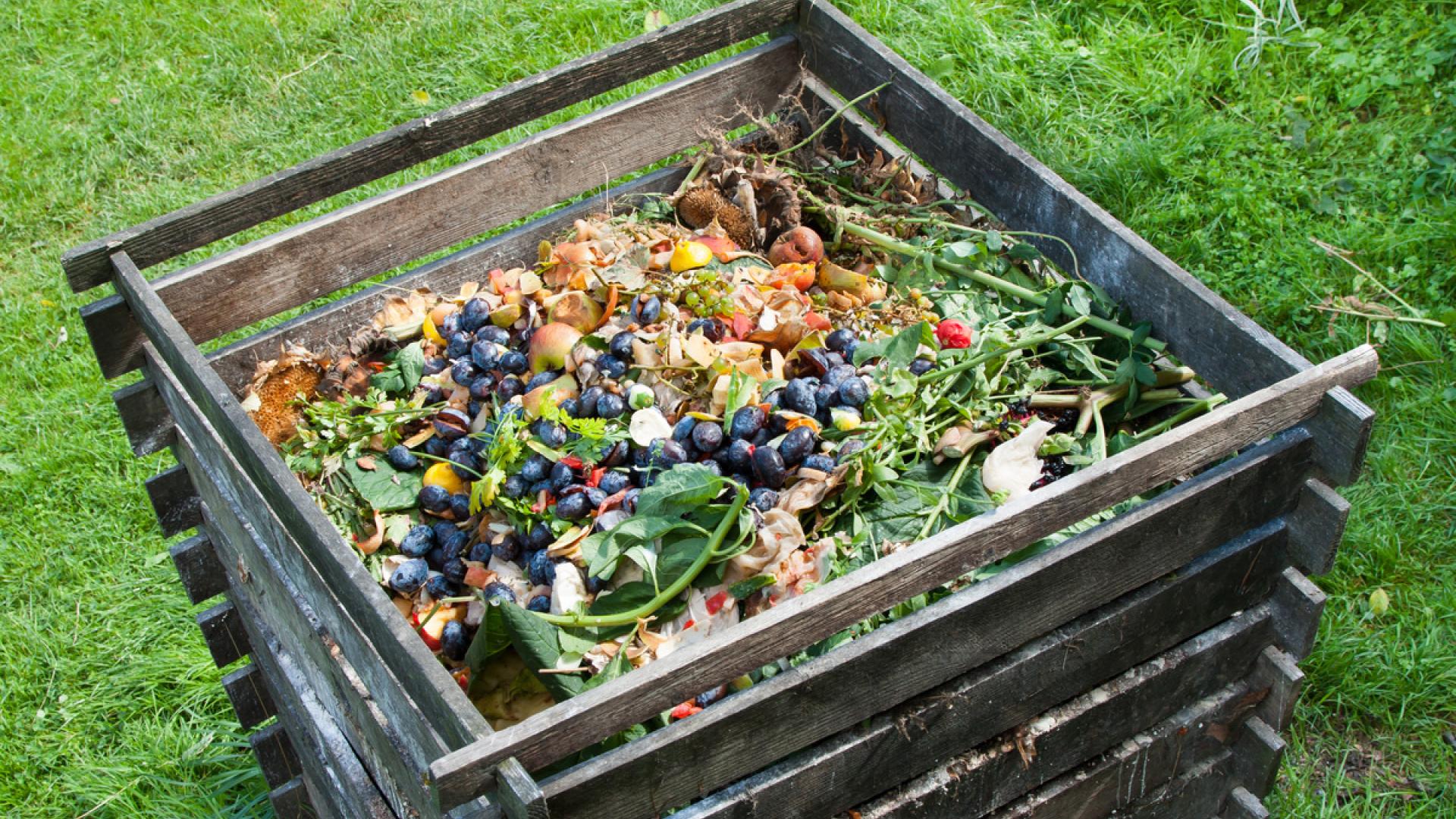 Compost bin filled with food scraps and garden waste on grass.