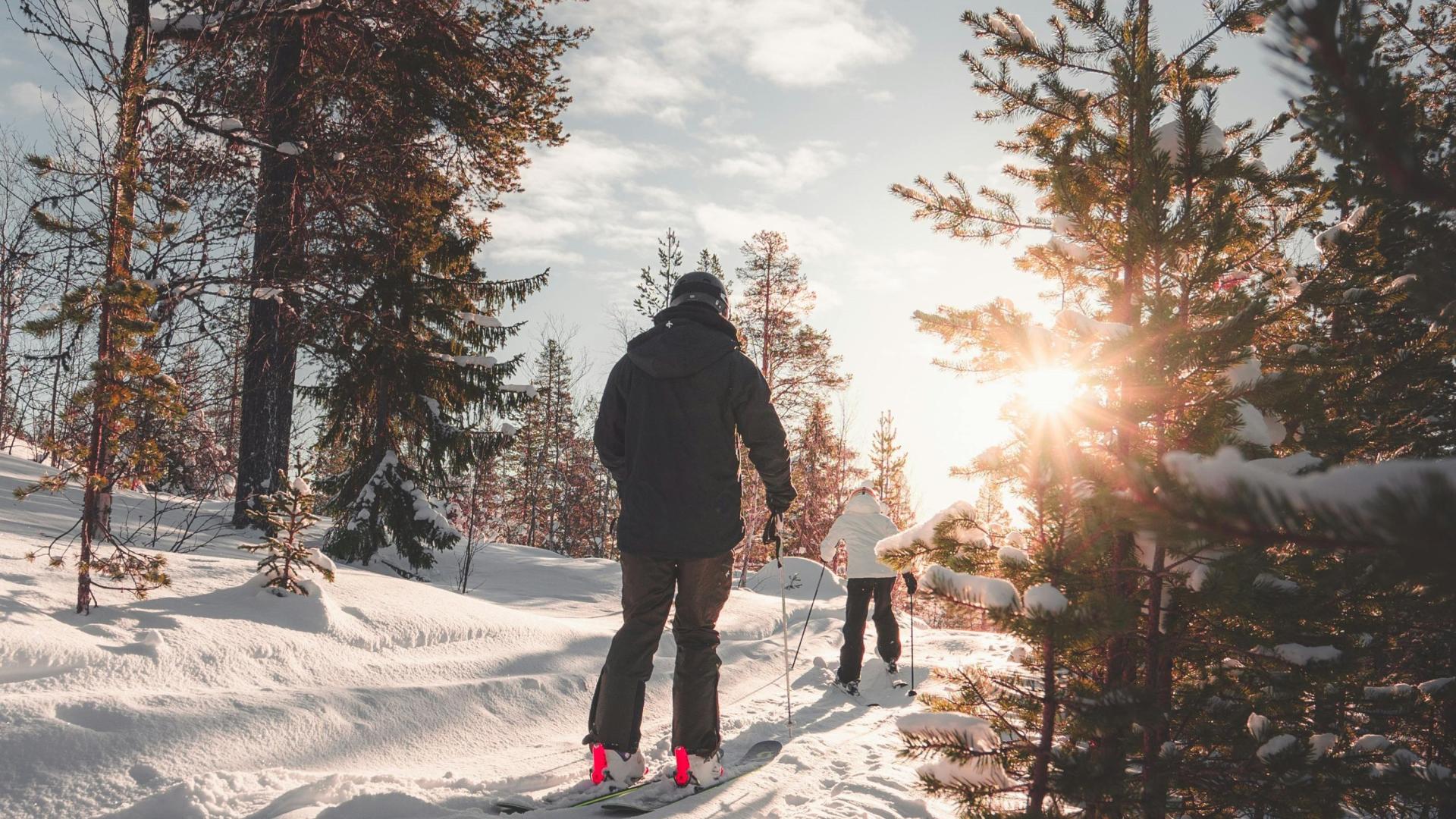 Two people snowshoeing on a sunlit, snowy trail through a forest.