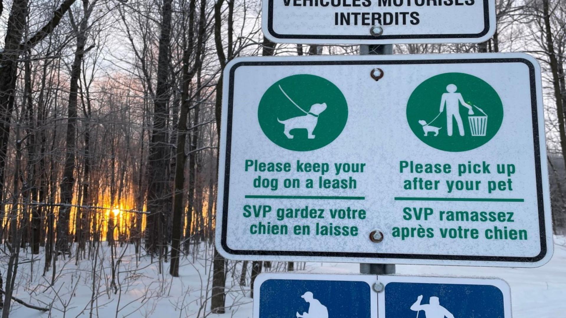 Trail signs in snowy forest at sunset.
