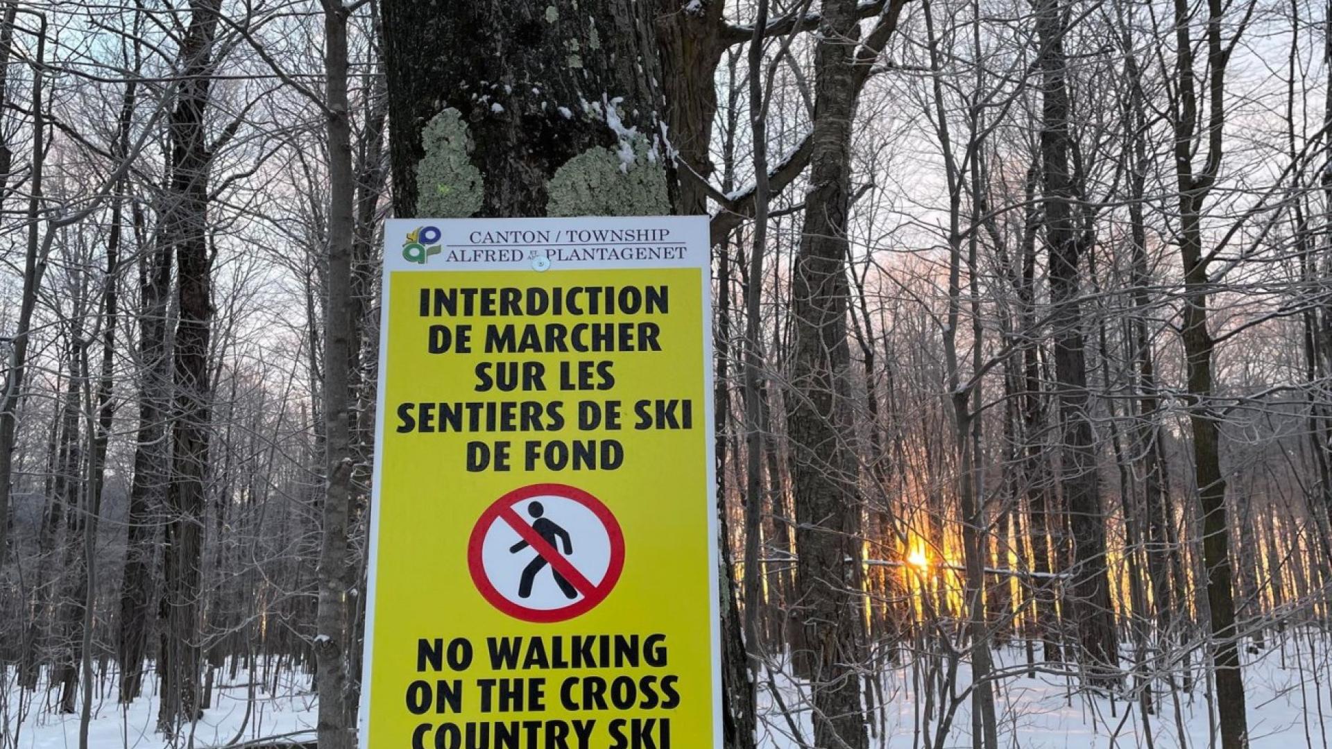 Yellow sign on tree in snowy forest, sunset in background.