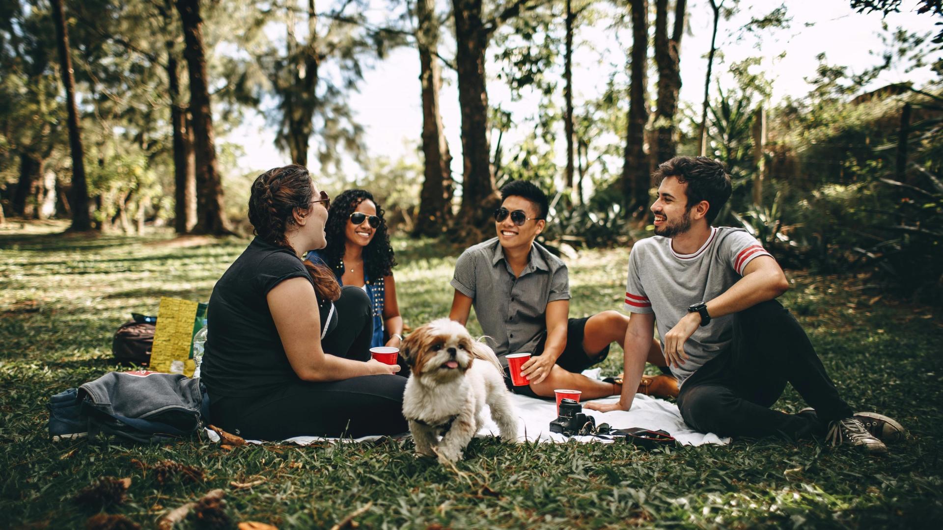 Group having a picnic with a dog in a sunny park.