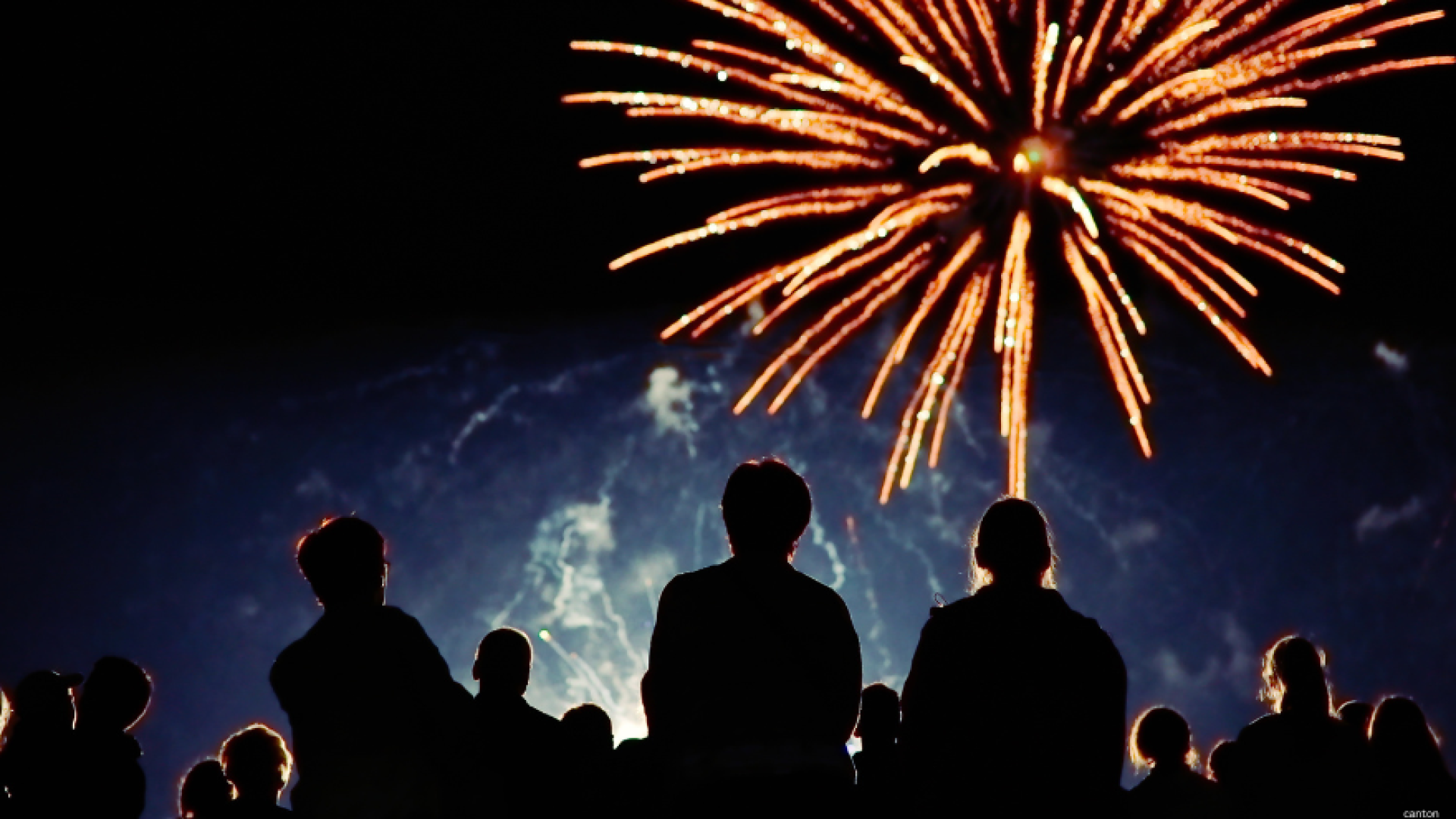 A crowd siting in the grass, watching fireworks.