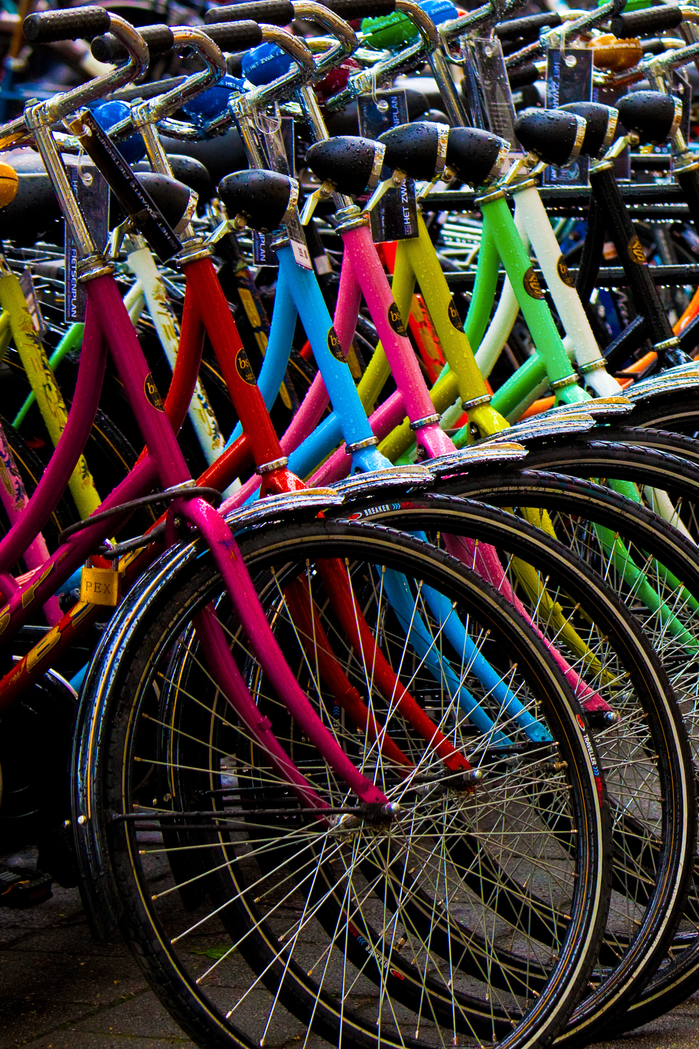 bicycles lined up.