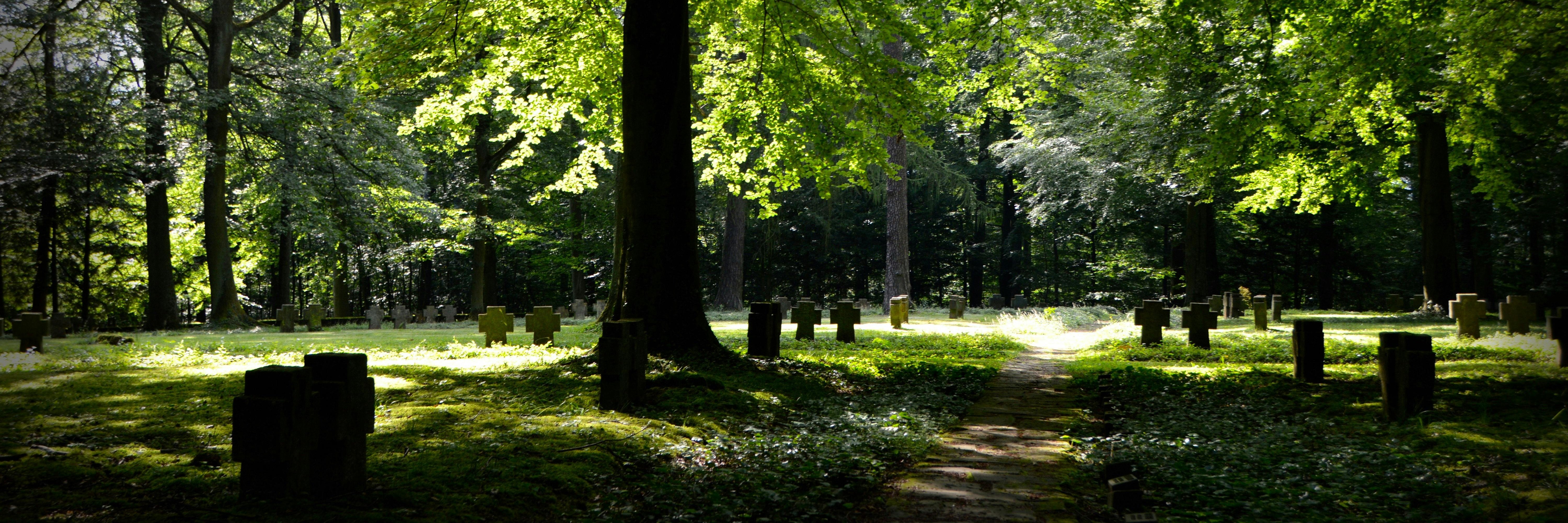 A picture of a cemetery in the forest