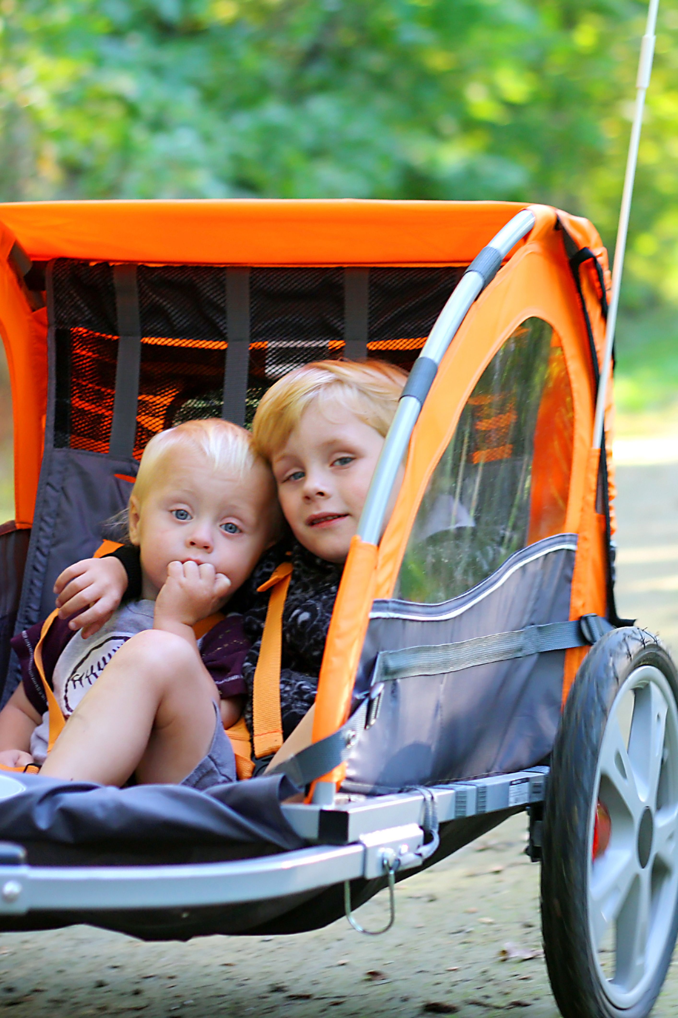 Two toddlers in a bicycle trailer looking at the camera.