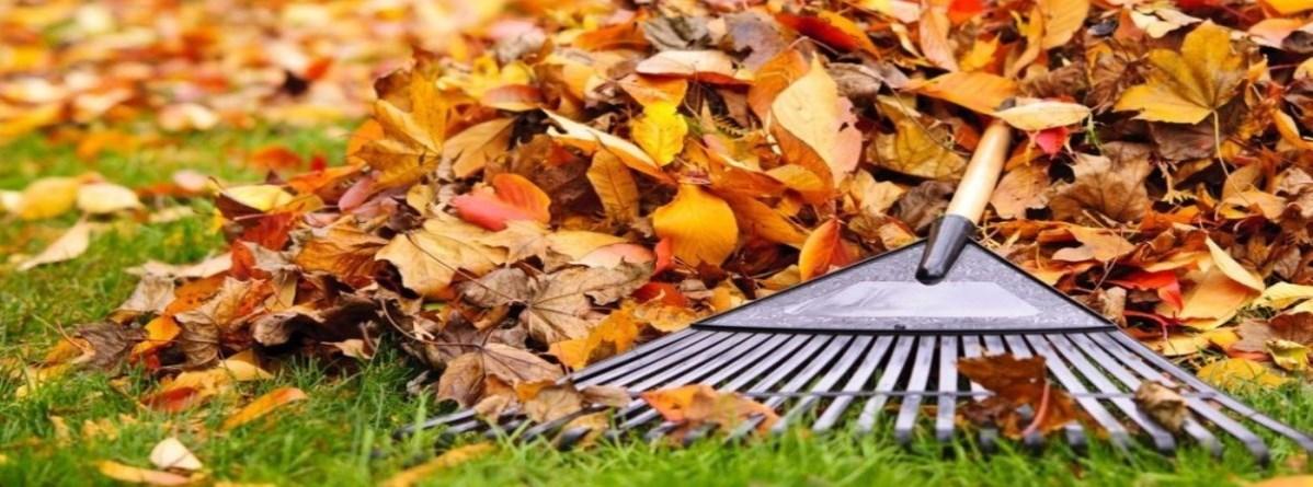 A rake rests against a pile of colorful autumn leaves on green grass.
